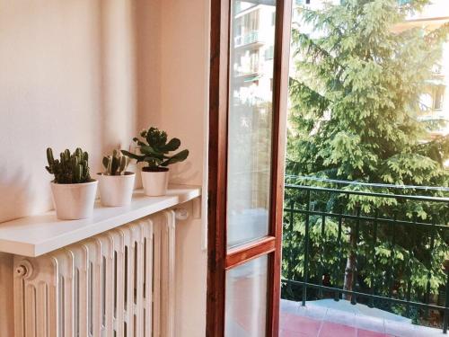 Grace Apartment in Florence