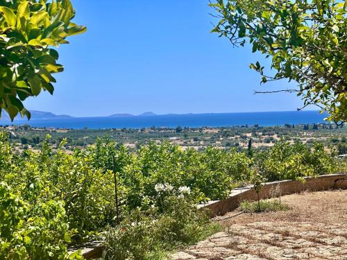 a view of a vineyard with the ocean in the background at Linen by Goutos Luxury Living in Kranidi