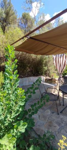 a patio with an umbrella and a table and a chair at Tiny Cottage CASA UCCELLO in Apricale
