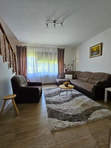 a living room with a couch and a table at Apartman Humac in Otočac