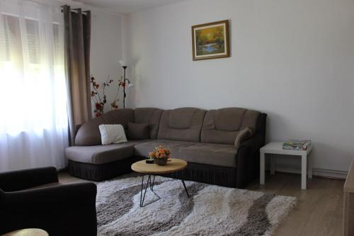 a living room with a couch and a table at Apartman Humac in Otočac