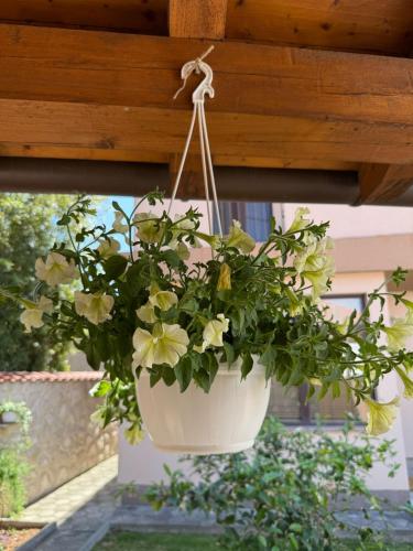 Apartmani Zara & Duje