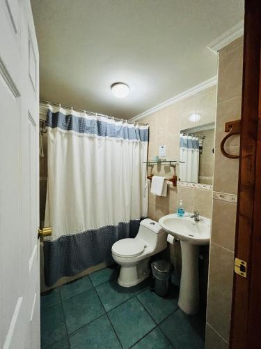 a bathroom with a toilet and a sink at Cabañas Parque Del Lago in Panguipulli