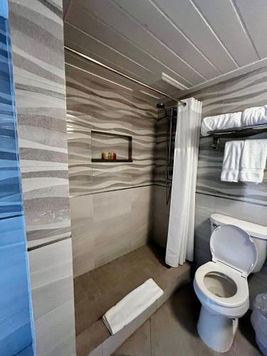 a bathroom with a toilet and a shower at Hôtel Le Roy in Christ Church