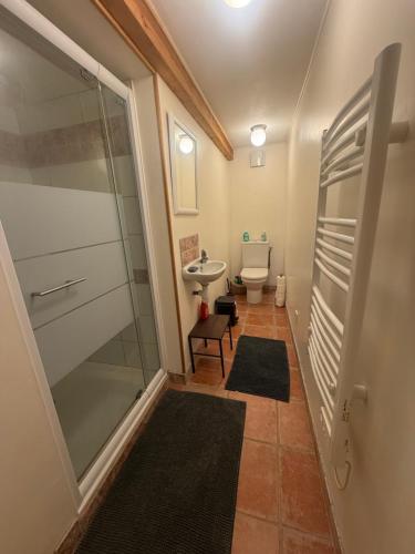a bathroom with a shower and a sink and a toilet at Gîte L'Oustal in Azillanet