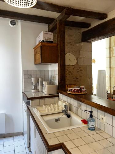 una cocina con fregadero y encimera en La Belle Tuffière, en Montreuil-Bellay