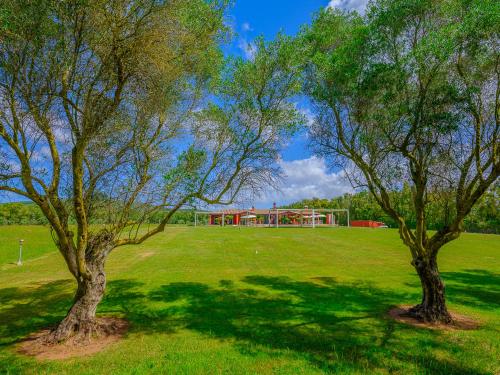 two trees in a field with a soccer field at Villa Barbarina - Nature Resort with Pool & Restaurant - Alghero in Santa Maria la Palma