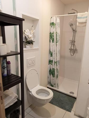a bathroom with a toilet and a shower at Tomorrowlandhome Boom in Boom
