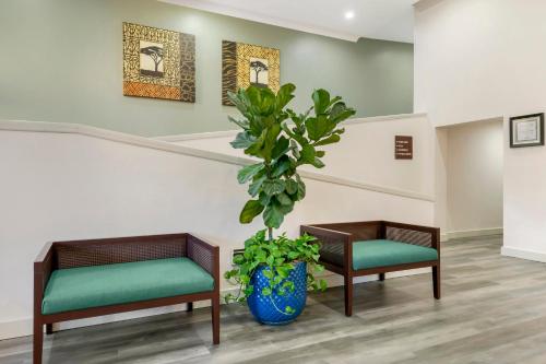 Parkway International Resort by Coolvacay photo 11