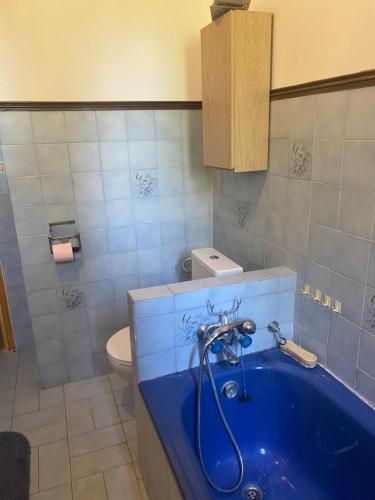 a bathroom with a blue tub and a toilet at Appartement T2 Alistro San Giuliano Corse in San-Giuliano
