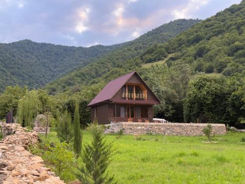 Příroda nedaleko apartmánu