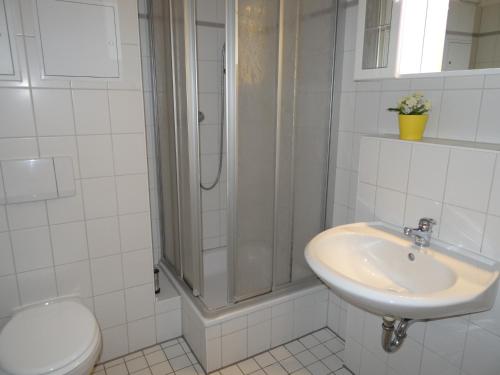ein Bad mit einem Waschbecken, einer Dusche und einem WC in der Unterkunft Apartmentanlage "Am Salzhaff" in Rerik