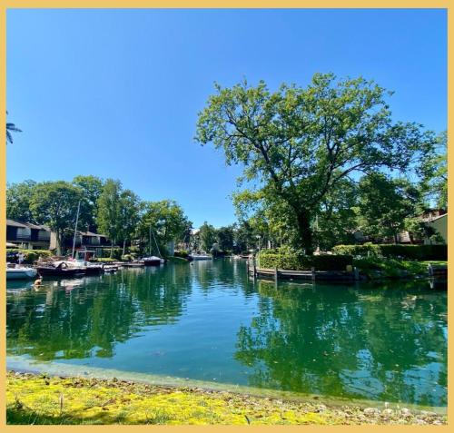 a view of a river with boats in it at La Marina I Maison T4 I Port Ripaille in Thonon-les-Bains
