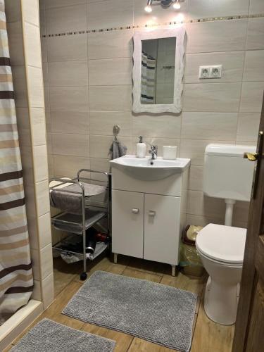 a bathroom with a sink and a toilet at Relax home in Vonyarcvashegy