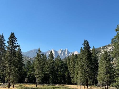 a forest of trees with mountains in the background at Peppermint Falls Ranch in Ponderosa