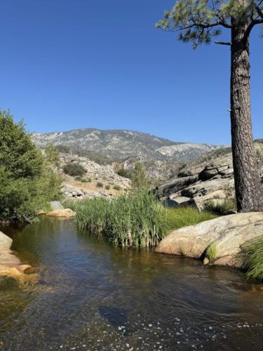 a river with a tree in the middle of it at Peppermint Falls Ranch in Ponderosa