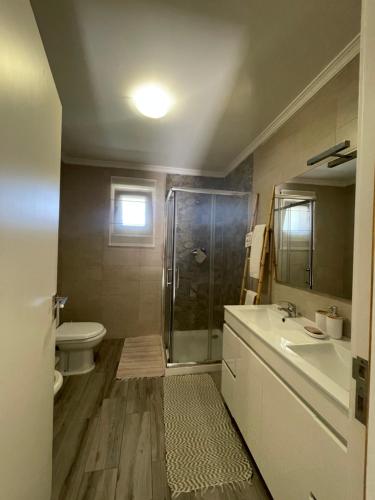 a bathroom with a shower and a toilet and a sink at Casa da Burra in Alijó