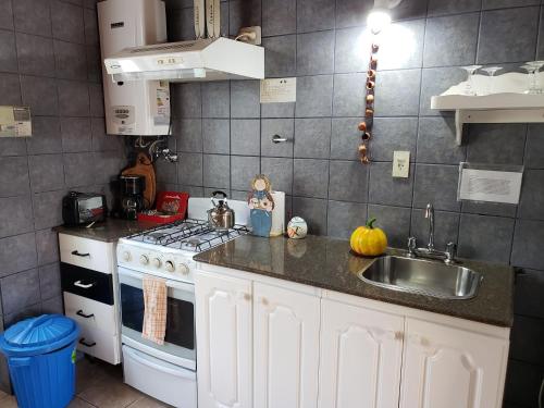 eine Küche mit Spüle und Herd in der Unterkunft Cabañas Las Brisas in Puerto Madryn