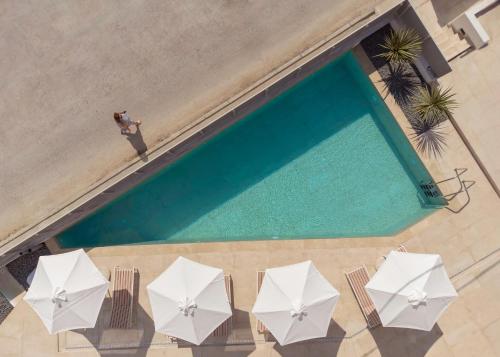 Thines Comfort Living