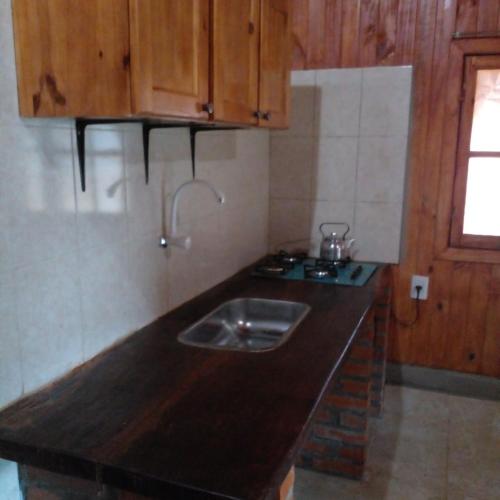 a kitchen with a sink and wooden cabinets at Refugios y Cabañas BAHIA in Puerto Iguazú