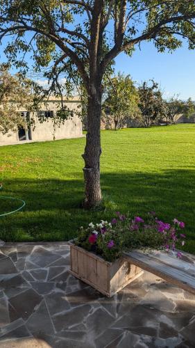 Zahrada ubytování PATATES Guesthouse - Private Villa with Garden Near Lake Sevan, Martuni