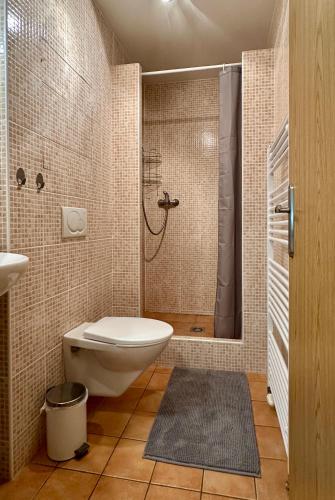 a bathroom with a shower and a toilet and a sink at Apartment Tatry Comfort - Tatranská Lomnica in Vysoké Tatry