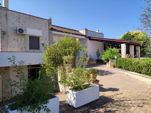 a courtyard of a house with potted trees at Contrada Macchia B&B in Tricase