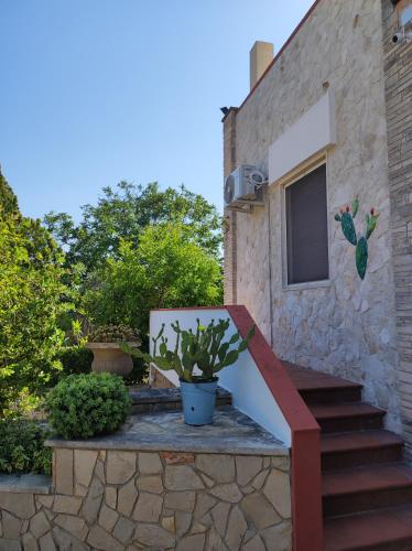 a stairway with a potted plant next to a building at Contrada Macchia B&B in Tricase