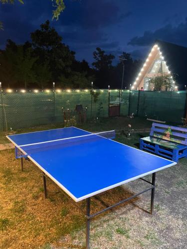 a blue ping pong table in a backyard at night at eco house WALKOTI in Bazalet'i