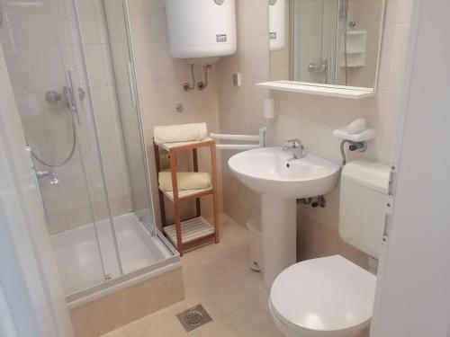 Bilik mandi di Apartment with nice terrace in Crikvenica