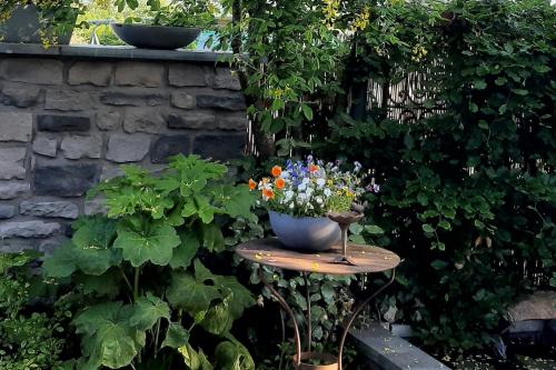 Zahrada ubytování Merveilleuse petite maison de charme