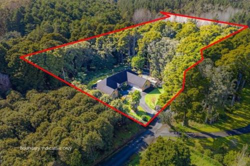 an aerial view of a house in a forest at NZ County Holiday Home in Kamo