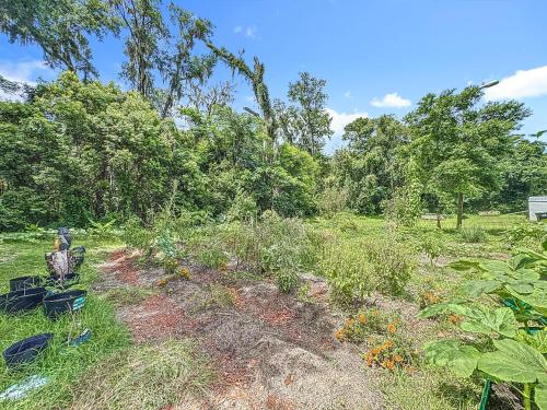 a field with a dirt path in the grass at Comfy Studio Farm Stay in Orlando
