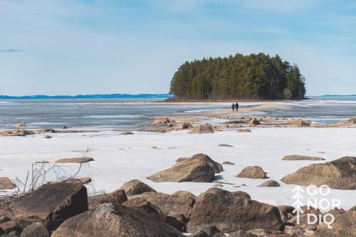 a beach with rocks and trees in the water at The Lazy Moose in Tällberg