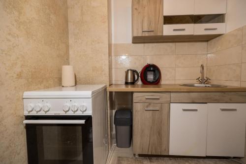 a kitchen with a white stove and a sink at Žabljak- FamilyOasis in Žabljak