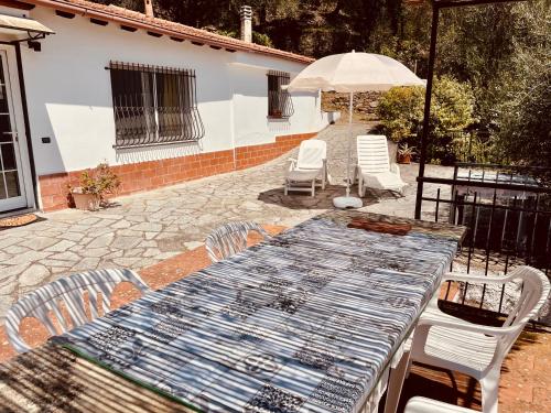 Αίθριο ή υπαίθριος χώρος στο Casa Uliveto