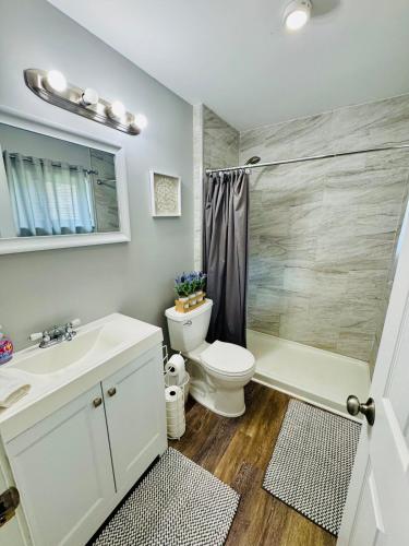 a bathroom with a toilet and a sink and a shower at Charming Walled Lake MI Cottage in Novi
