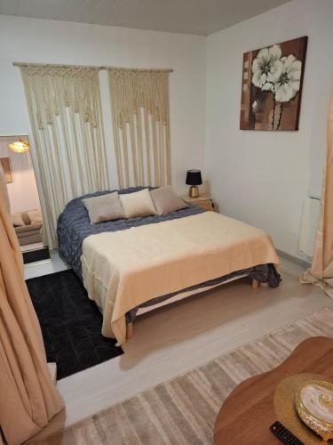 a bedroom with a bed in a room at Ideal 50 m2 terrace, free parking in Rouvroy