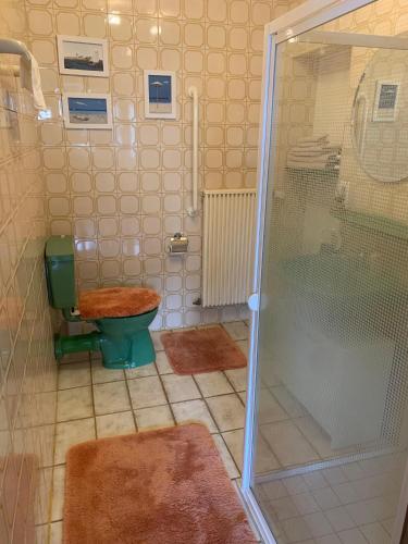 a bathroom with a shower and a toilet at FeWo Koch48 in Osann-Monzel