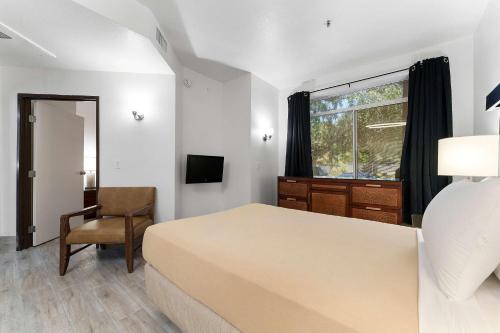 a bedroom with a bed and a chair and a window at Chandler 1bd w 2 beds upgraded in Chandler