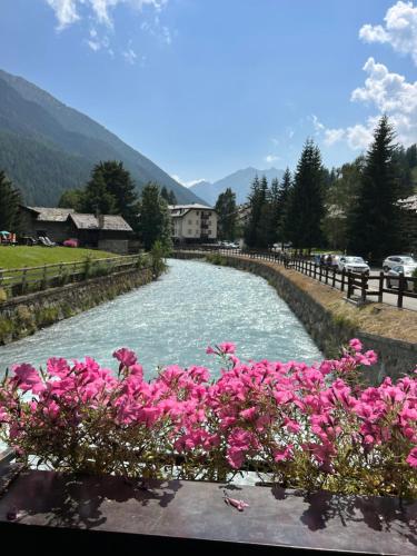 a river with pink flowers in front of it at Maison Du Coeur Champoluc - Spa, Gym e aree relax in Champoluc