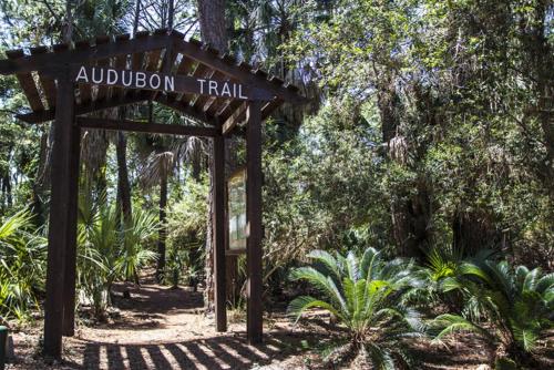 a sign for the audubon trail in a park at 521 Sunsuite in Fripp Island