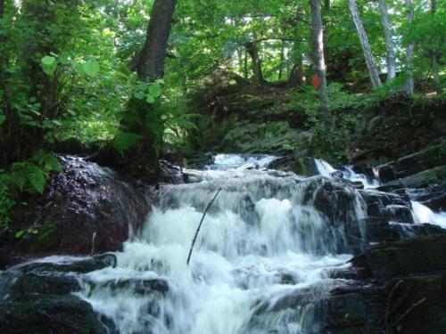a waterfall in the middle of a forest at Escape Near River, Wolfsberg in Wolfsberg
