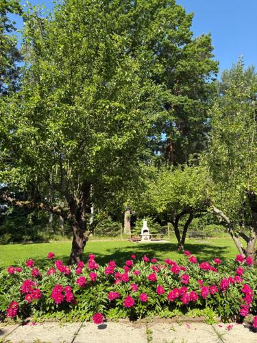 a group of flowers in a park with trees at Chalupa u rybníka in Libín