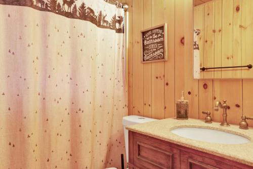 ein Badezimmer mit Waschbecken und Duschvorhang in der Unterkunft Bruin chalet #2464 in Sugarloaf