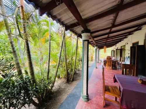 Zahrada ubytování Horizon Resort & Hostel Sigiriya