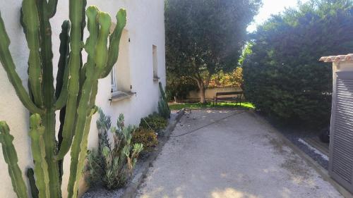 Taman di luar La Sudiste