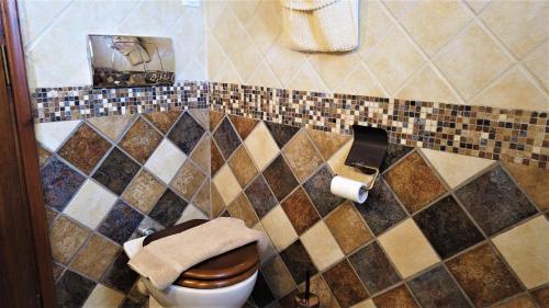 a bathroom with a toilet and a picture on the wall at Dionysus Blue Sky in Egina