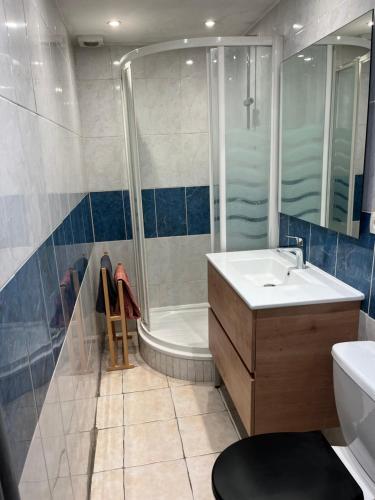 une salle de bain avec une douche, un lavabo et une baignoire dans l'établissement Studio Aix les Bains entre centre-ville et lac, à Aix-les-Bains
