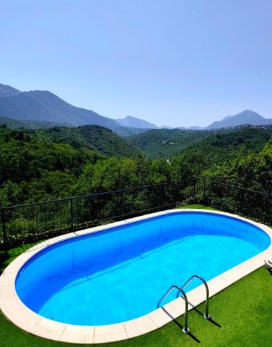 Dalmatian Green Peak